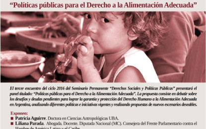 Seminario Permanente Derechos Sociales y Políticas Públicas: «Políticas públicas para el derecho a la alimentación adecuada»