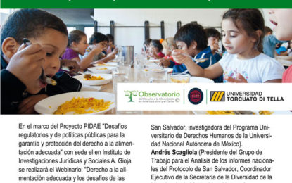 webinario «Derecho a la alimentación adecuada y los desafíos de las políticas públicas durante a la pandemia